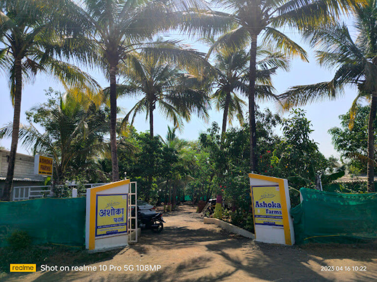 Ashoka Farm Kelwa Road Maharashtra