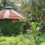 Samarth Krupa Farm, Palghar, Maharashtra