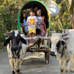 Samarth Krupa Farm, Palghar, Maharashtra